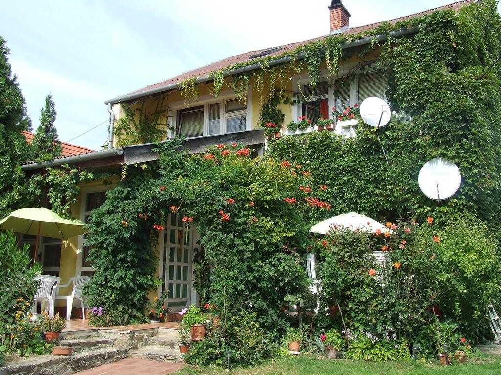 Vadszőlő Vendégház Cák Habitación foto