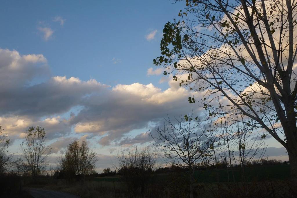 Vadszőlő Vendégház Cák Exterior foto