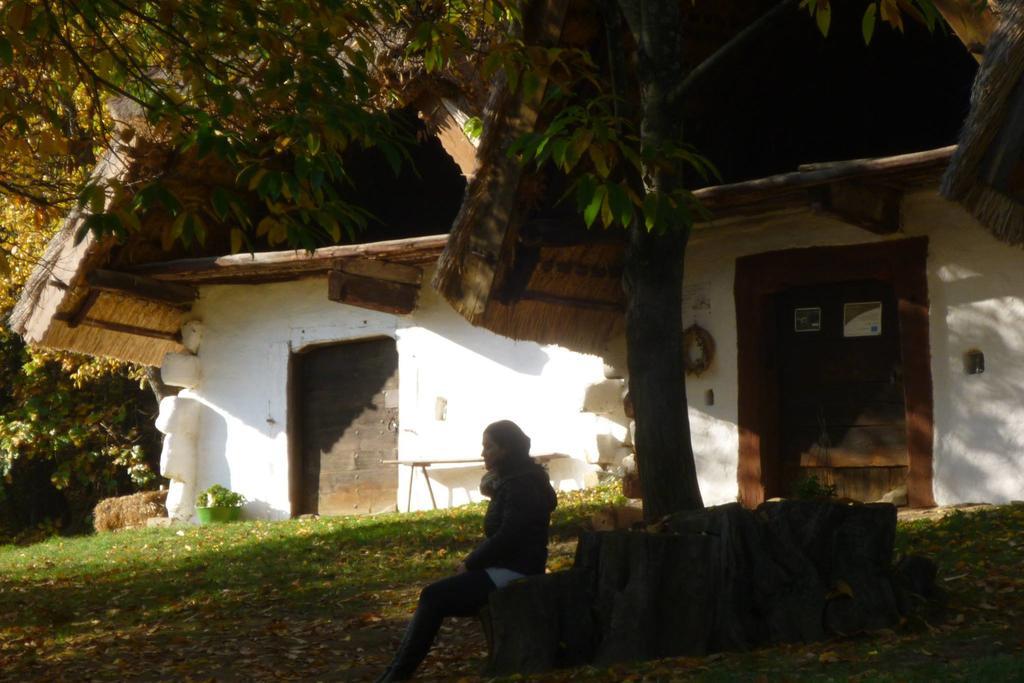Vadszőlő Vendégház Cák Exterior foto