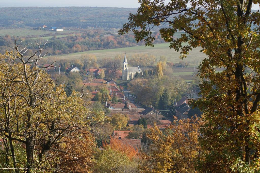 Vadszőlő Vendégház Cák Exterior foto