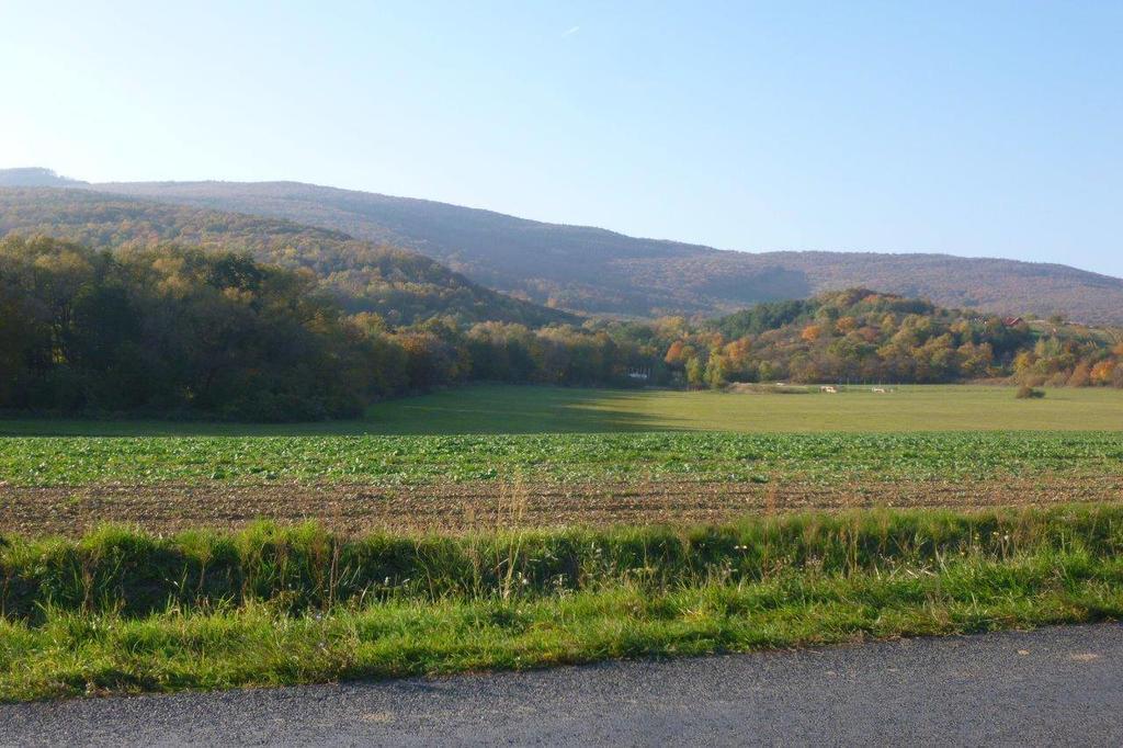 Vadszőlő Vendégház Cák Exterior foto