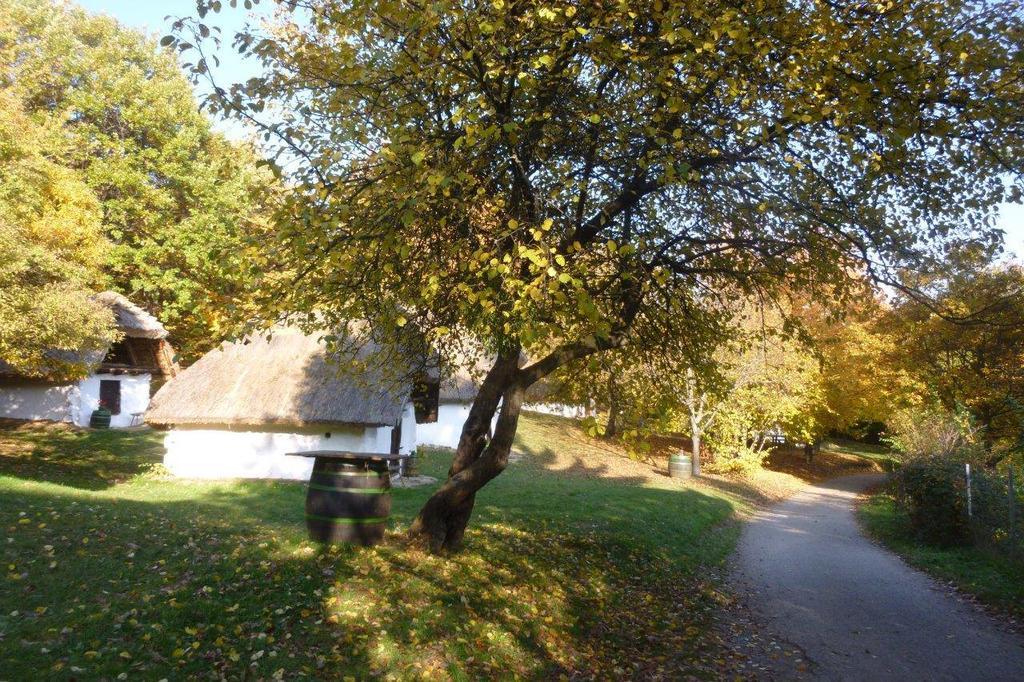 Vadszőlő Vendégház Cák Exterior foto