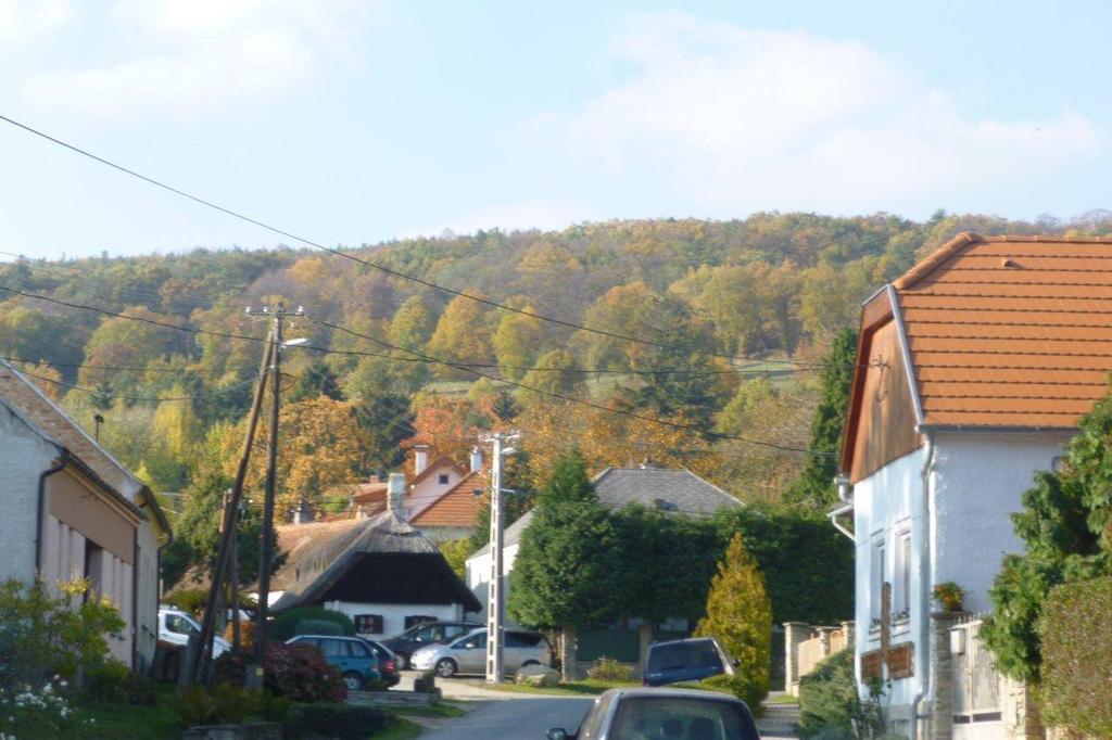Vadszőlő Vendégház Cák Exterior foto